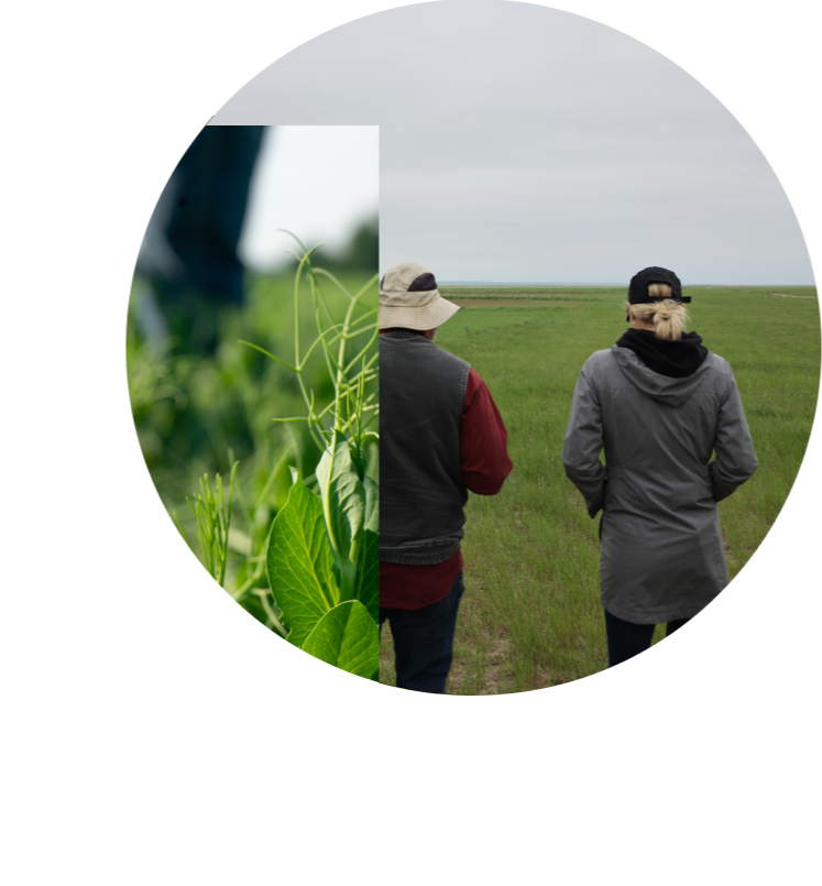 Farmers discussing crop contracting opportunities in field