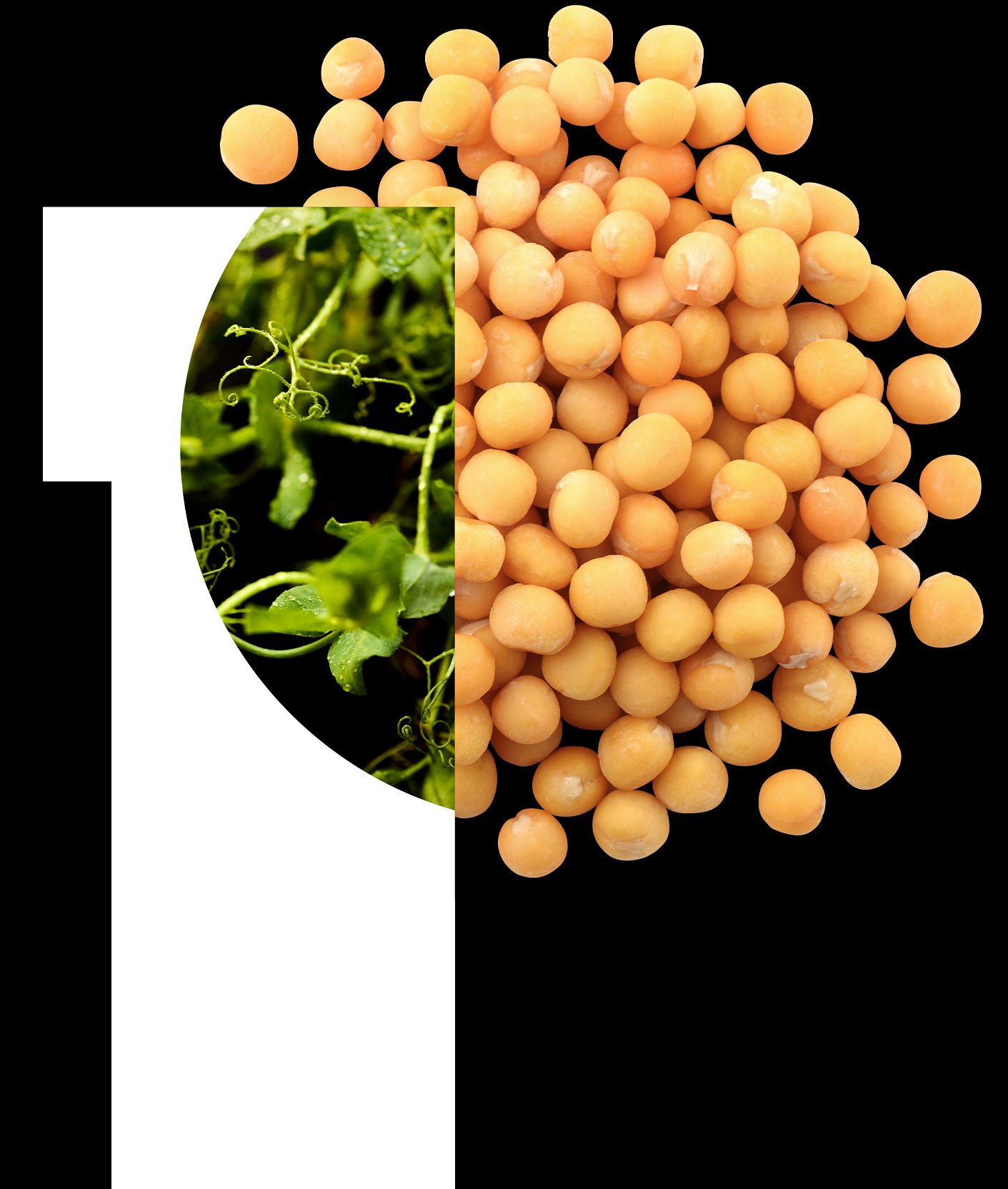 hero_pea-seeds-1a