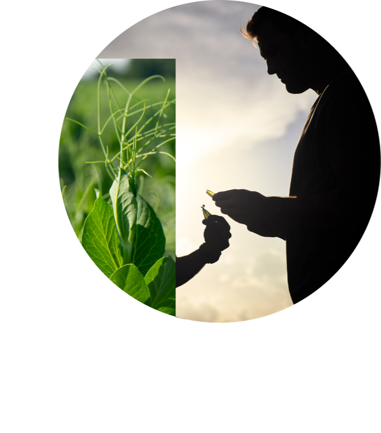 Hero_sustainability1-1