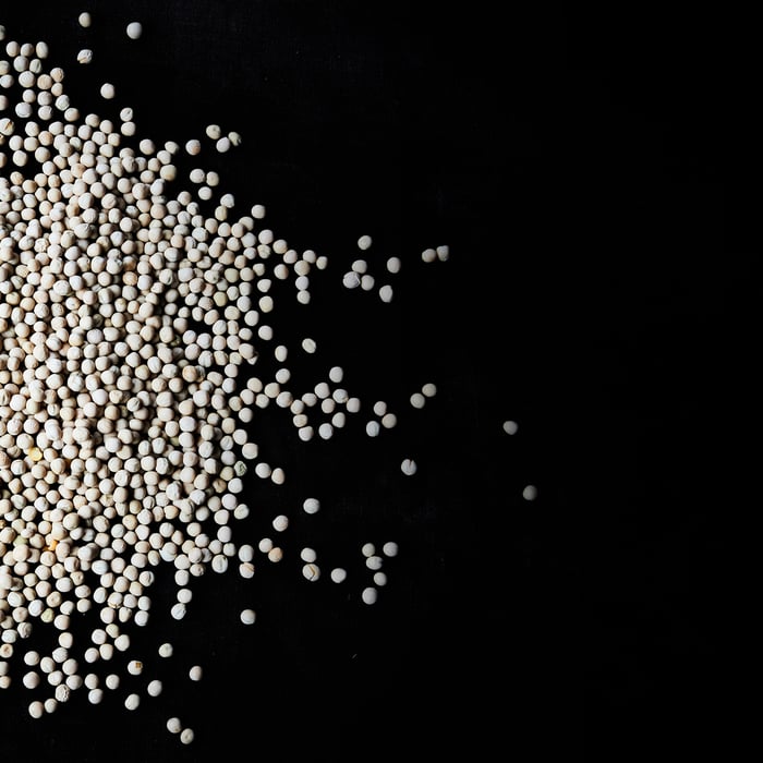 Non-GMO yellow pea, soybean, and corn seeds