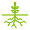 Root Icon